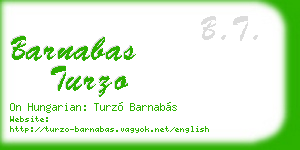 barnabas turzo business card